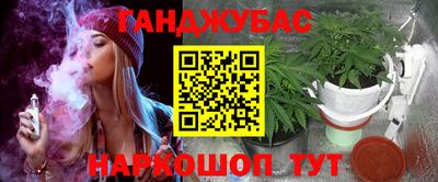 Альфа ПВП Кандалакша