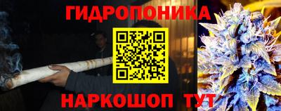 амфетамин Кингисепп