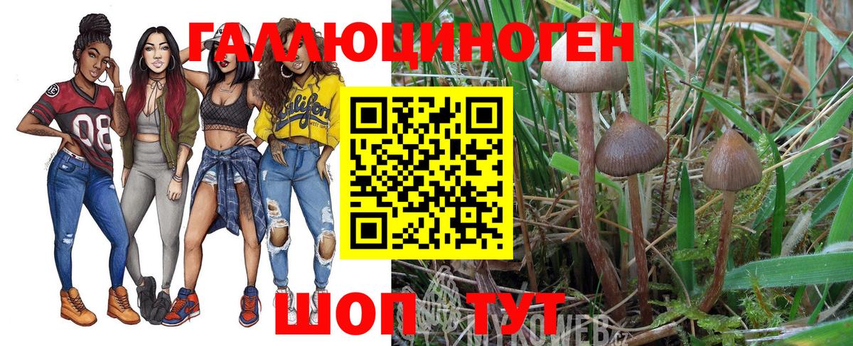 Галлюциногенные грибы Magic Shrooms Кореновск