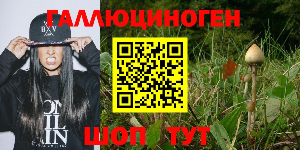 Псилоцибиновые грибы MAGIC MUSHROOMS  Галлюциногенные грибы прущие грибы  Кореновск  Вход с VPN 