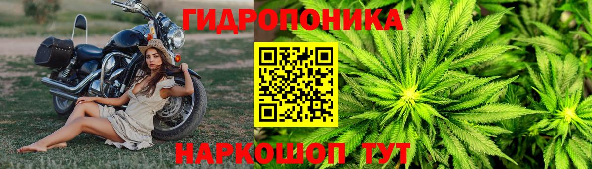 Конопля LSD WEED  Бошки Шишки сатива  Вход с VPN  Марихуана сатива  Кореновск 